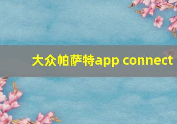 大众帕萨特app connect